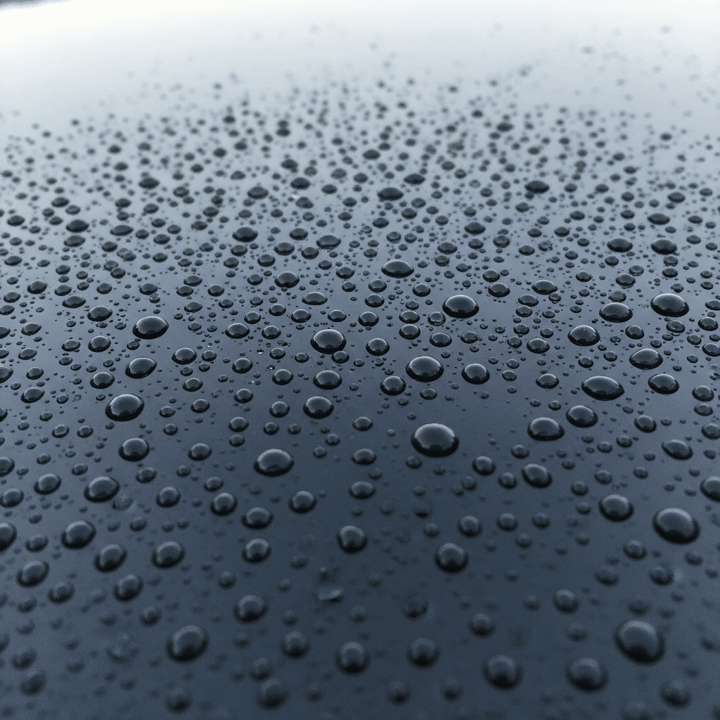 Close-up of car paint with ceramic coating beading water droplets showcasing hydrophobic effect