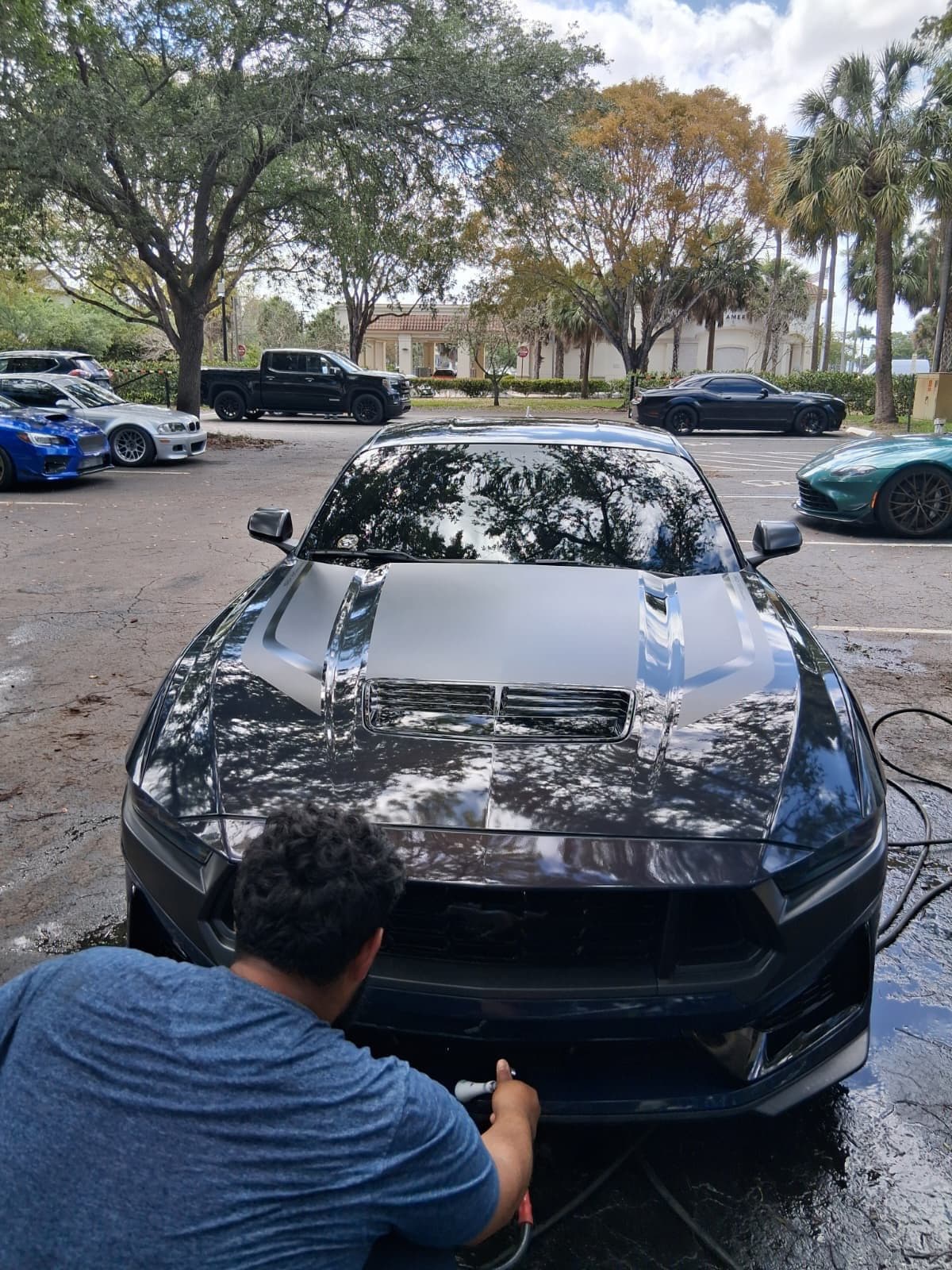 Man detailing a dark grey Ford Mustang with racing stripes in a sunny parking lot.